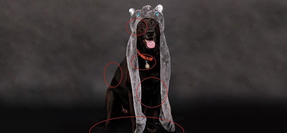 10 Tips For Basic Photo Editing In Photoshop