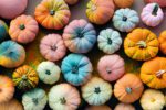 Many tiny pumpkins clustered together